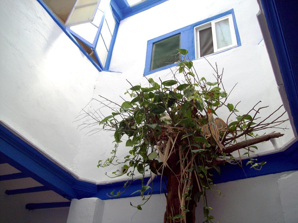 De Cadiz Cadi Hostel מראה חיצוני תמונה
